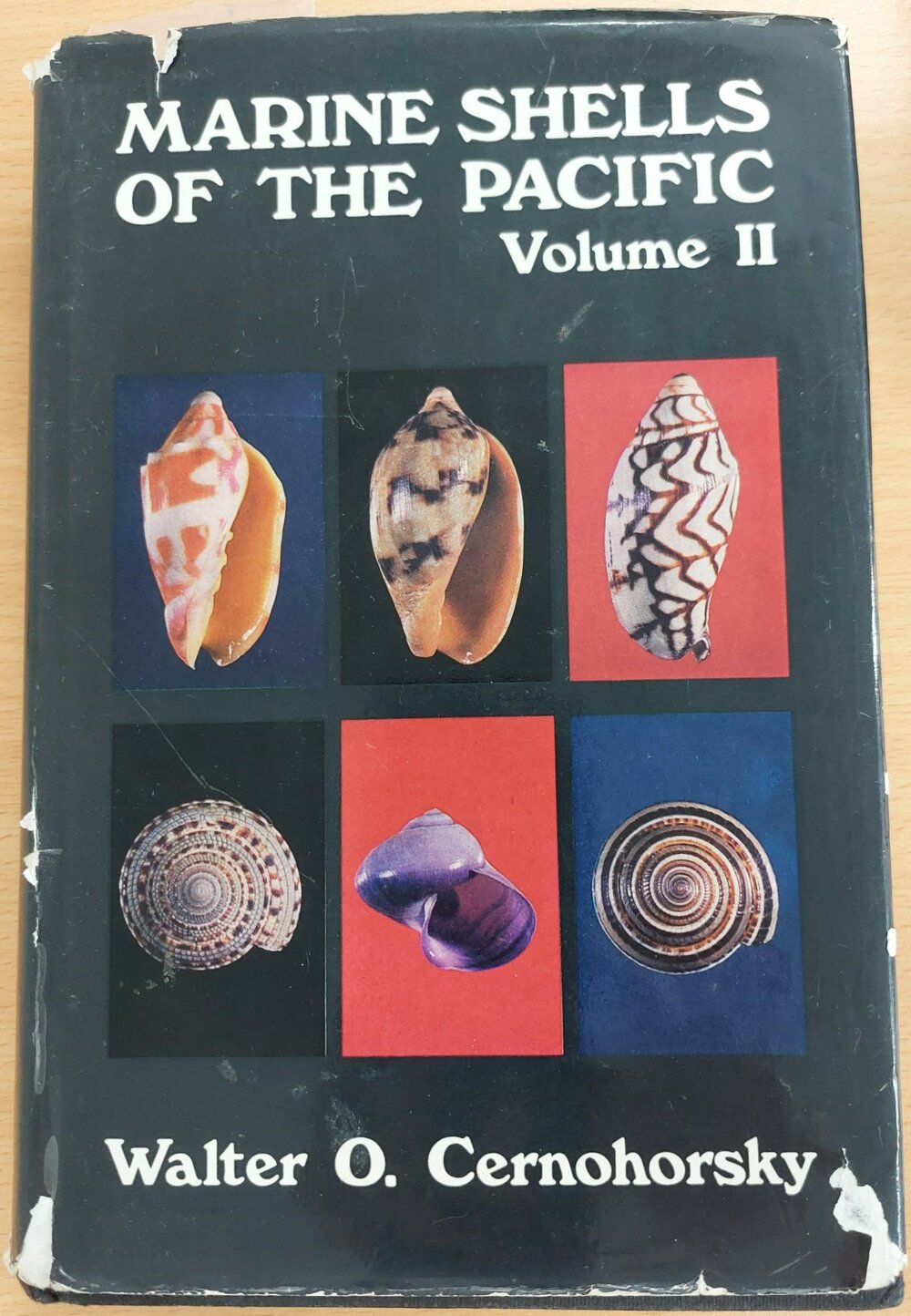 Marine Shells of the Pacific Vol II