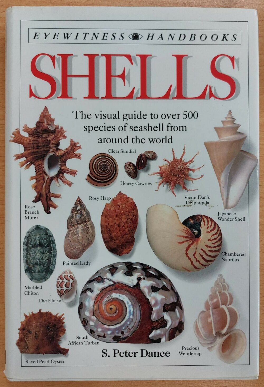 Shells: The visual guide to over 500 species of seashell from around the world