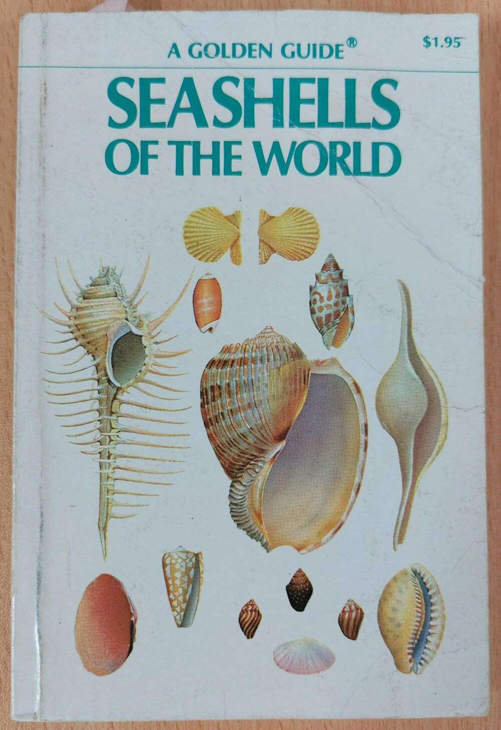 Seashells of the World