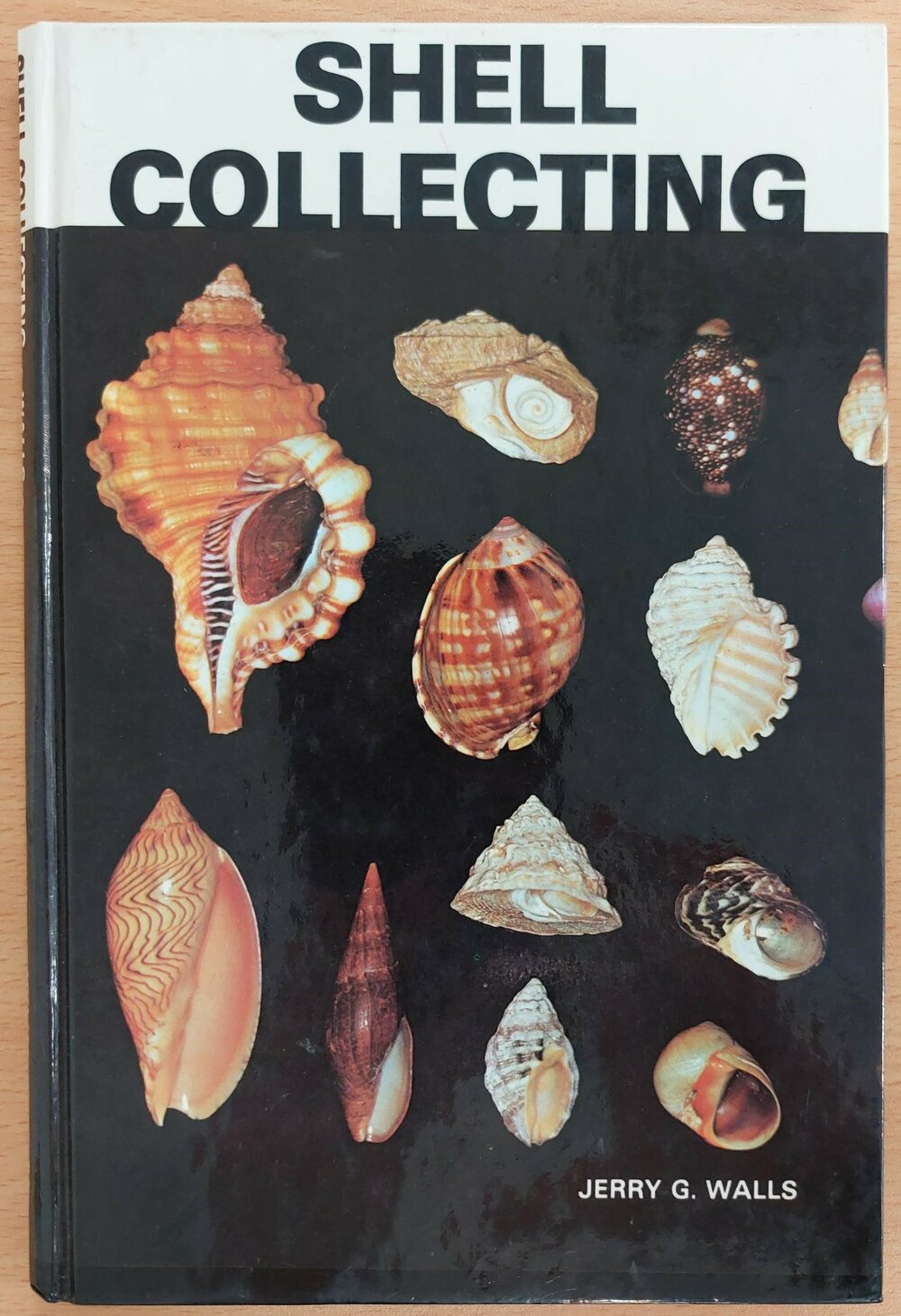 Shell Collecting