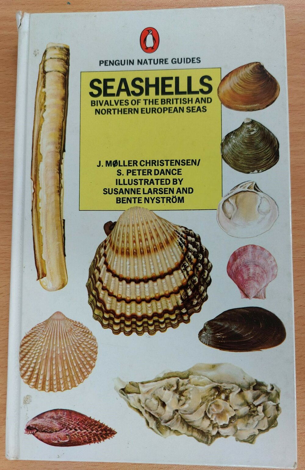 Seashells: Bivalves of the British and Northern European Seas