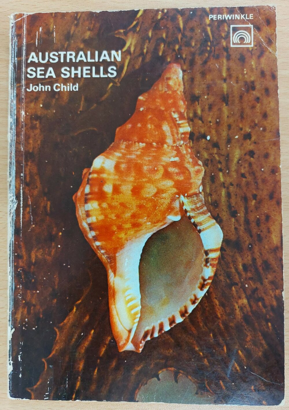 Australian Sea Shells