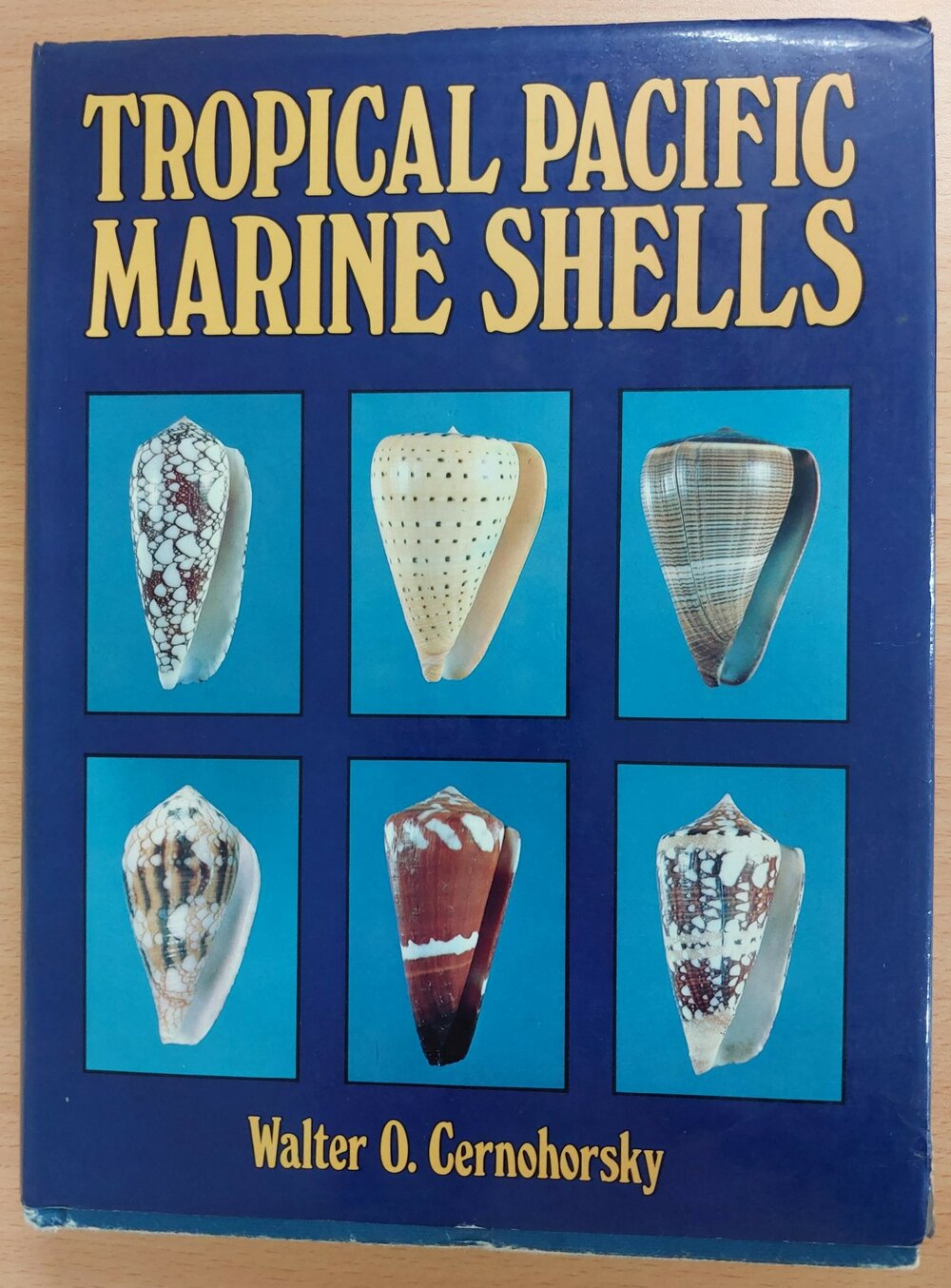 Tropical Pacific Marine Shells