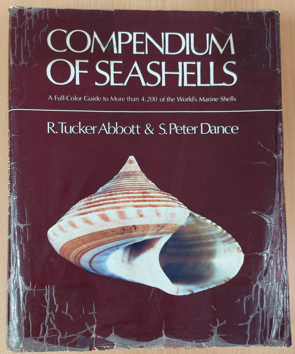 Compendium of Seashells