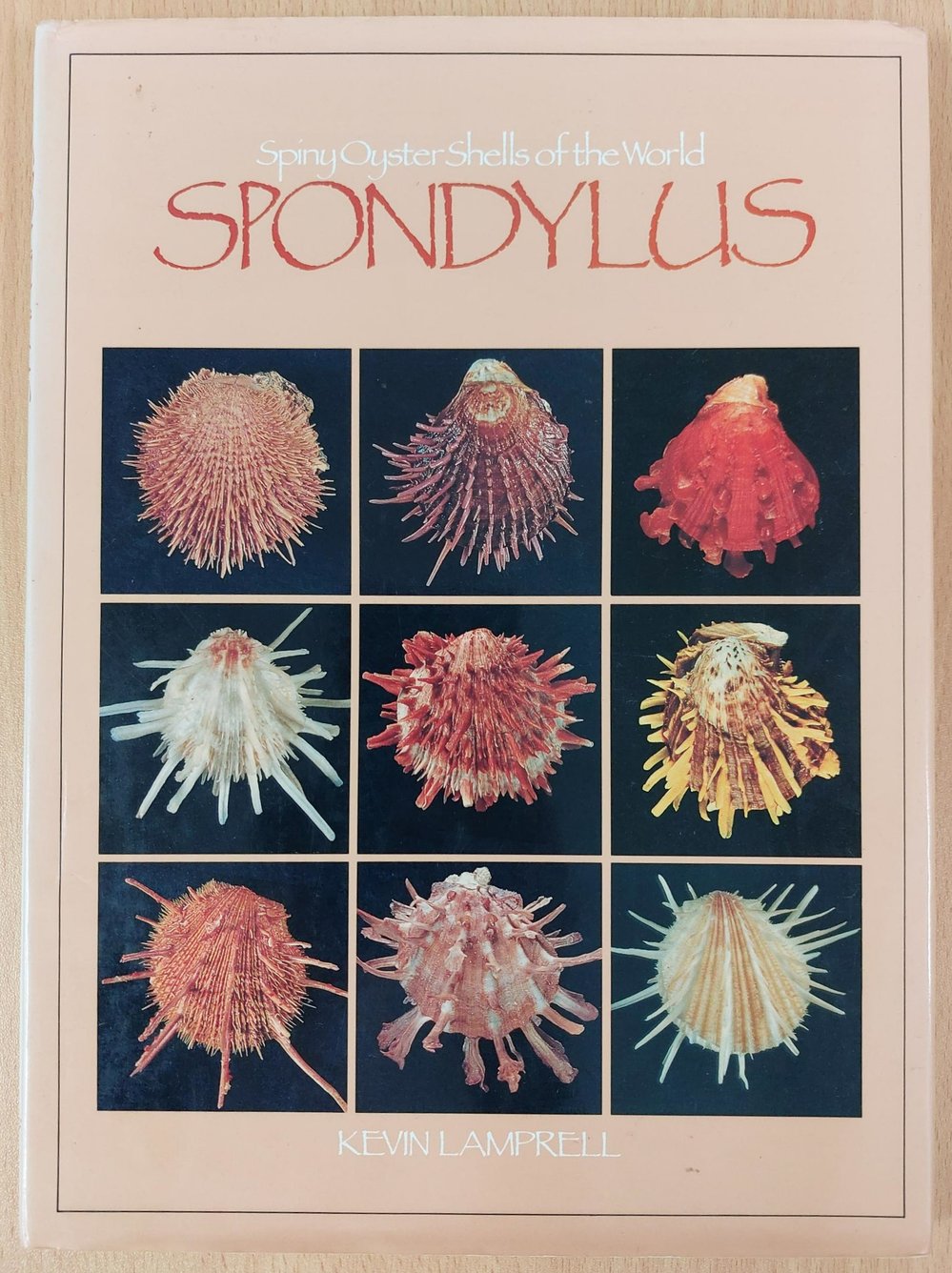 Spondylus: Spiny Oyster Shells of the World