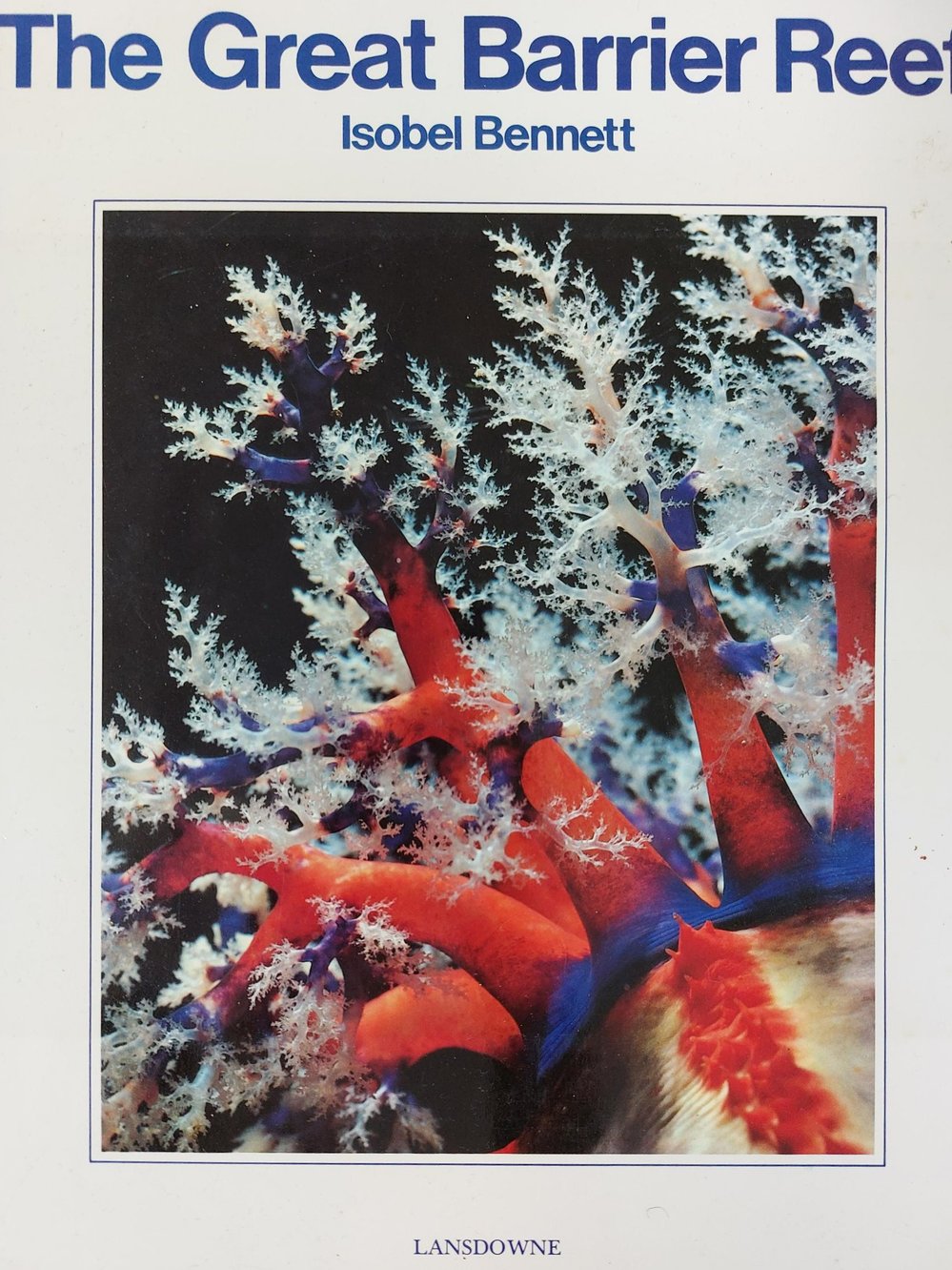 The Great Barrier Reef