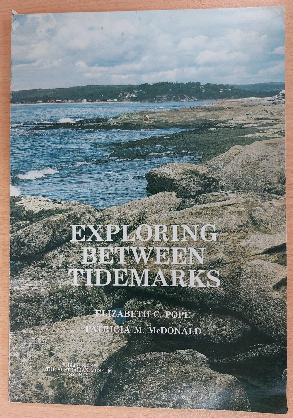 Exploring between Tidemarks