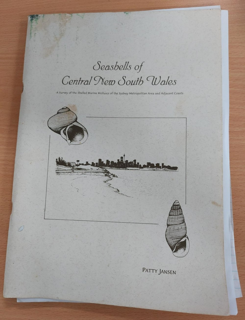 Seashells of Central New South Wales