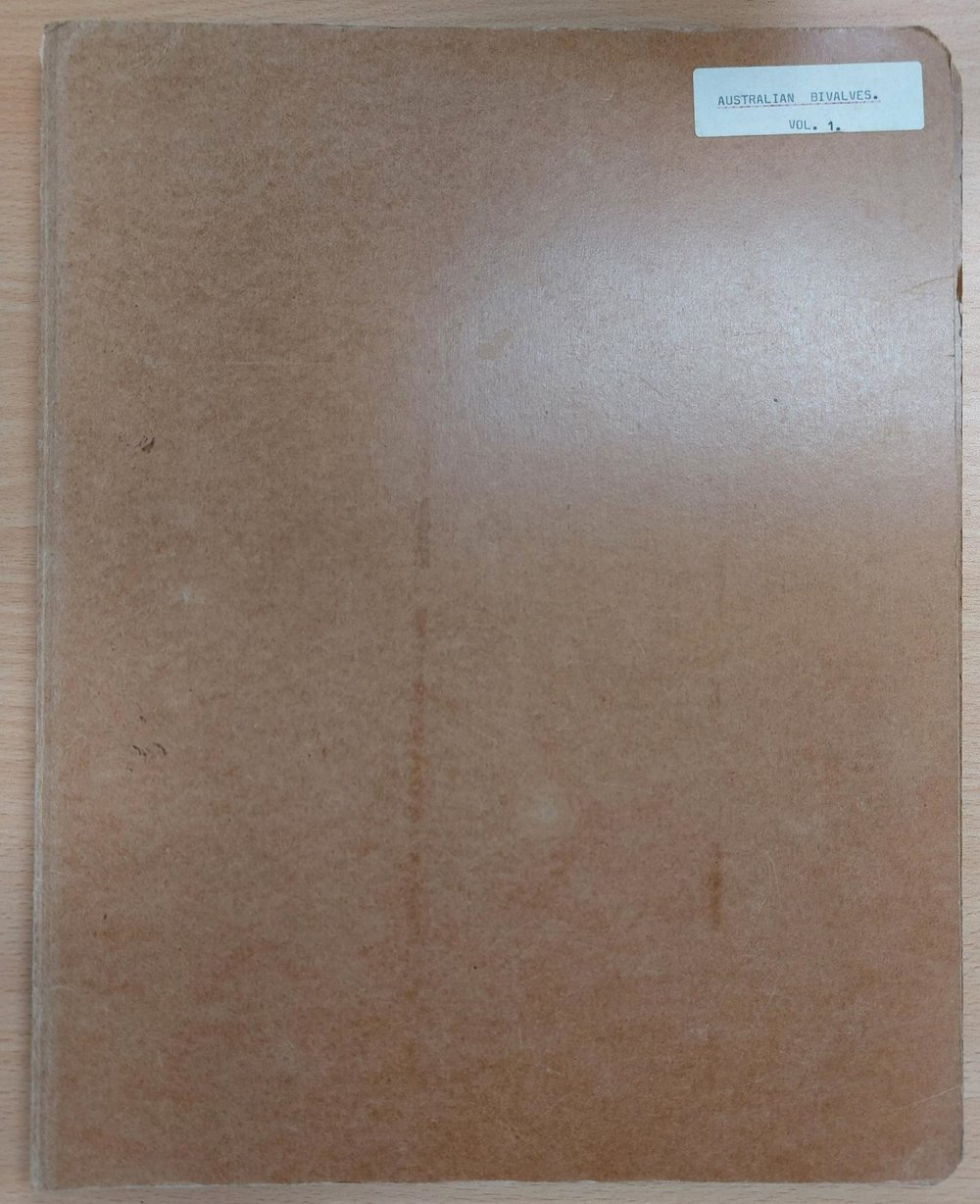 Australian Bivalves Vol 1