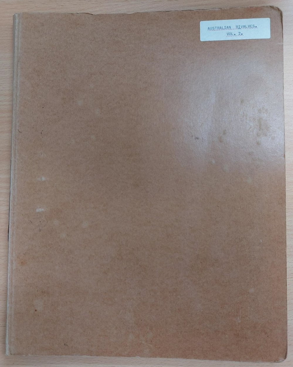 Australian Bivalves Vol 2