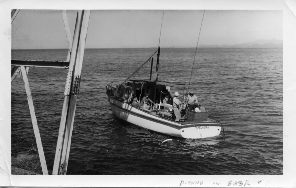 Dianne Ross in South Solitary Island basket for transfer, early 1970s