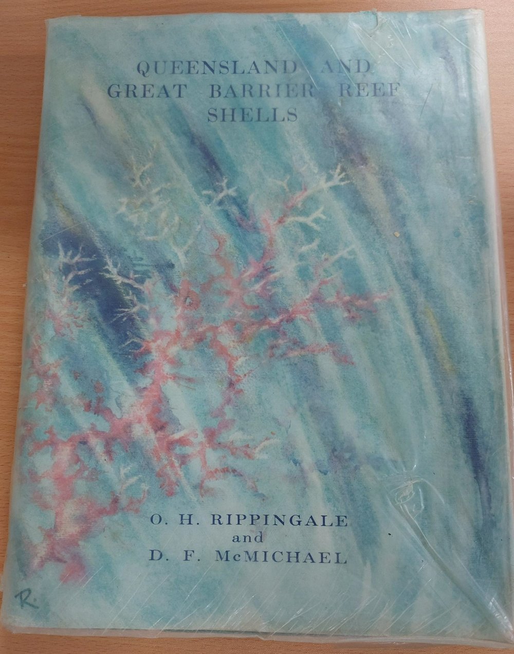 Queensland and Great Barrier Reef Shells