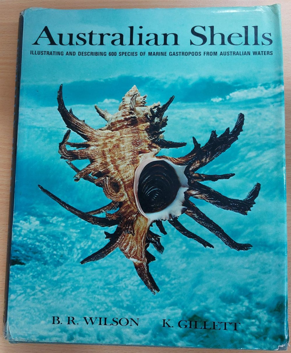 Australian Shells 