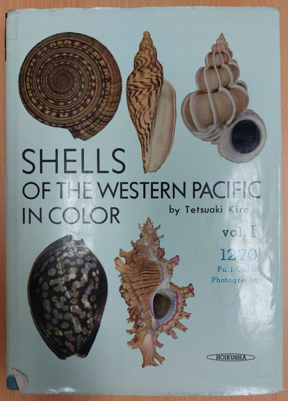 Shells of the Western Pacific in Colour