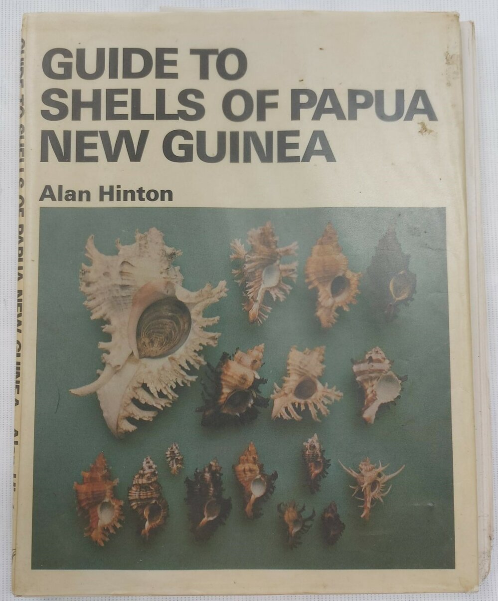 Guide to Shells of Papua New Guinea