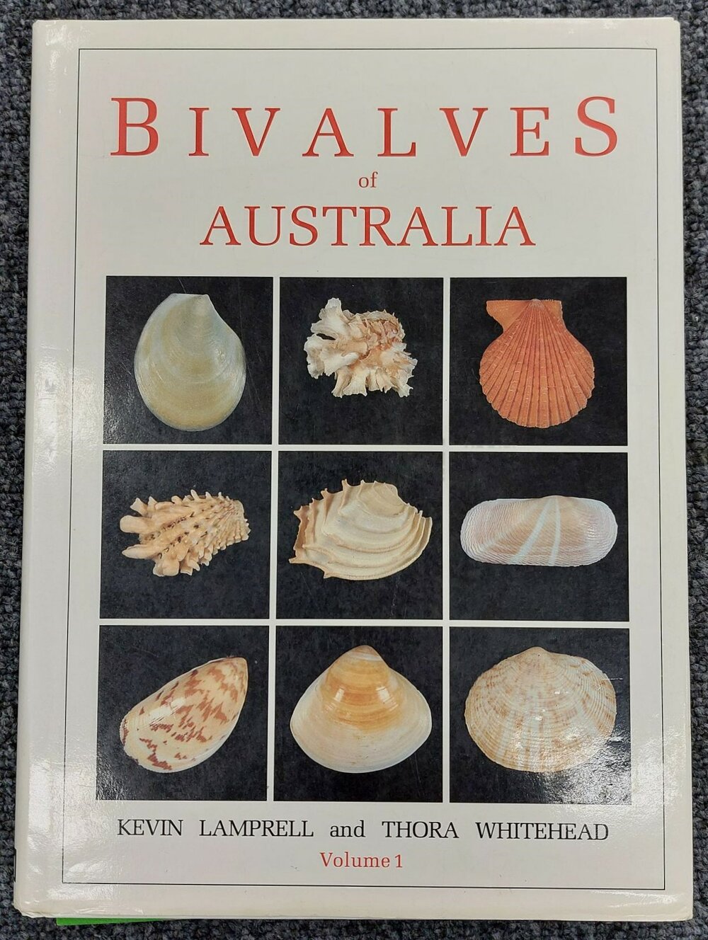 Bivalves of Australia Vol 1