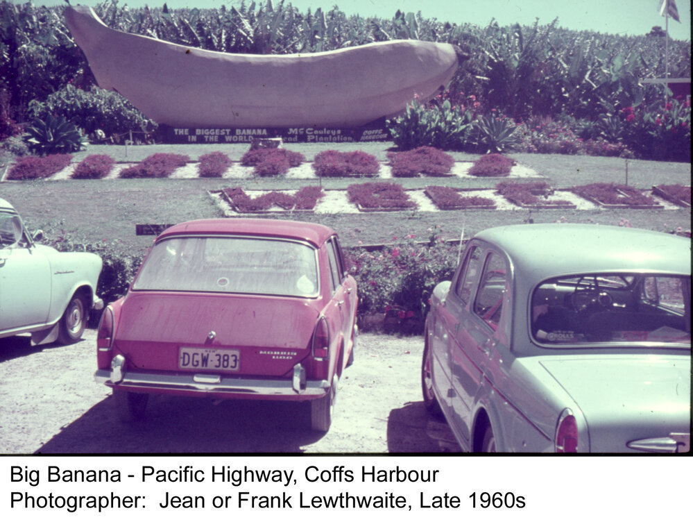 The Big Banana beside the Pacific Highway, late 1960s