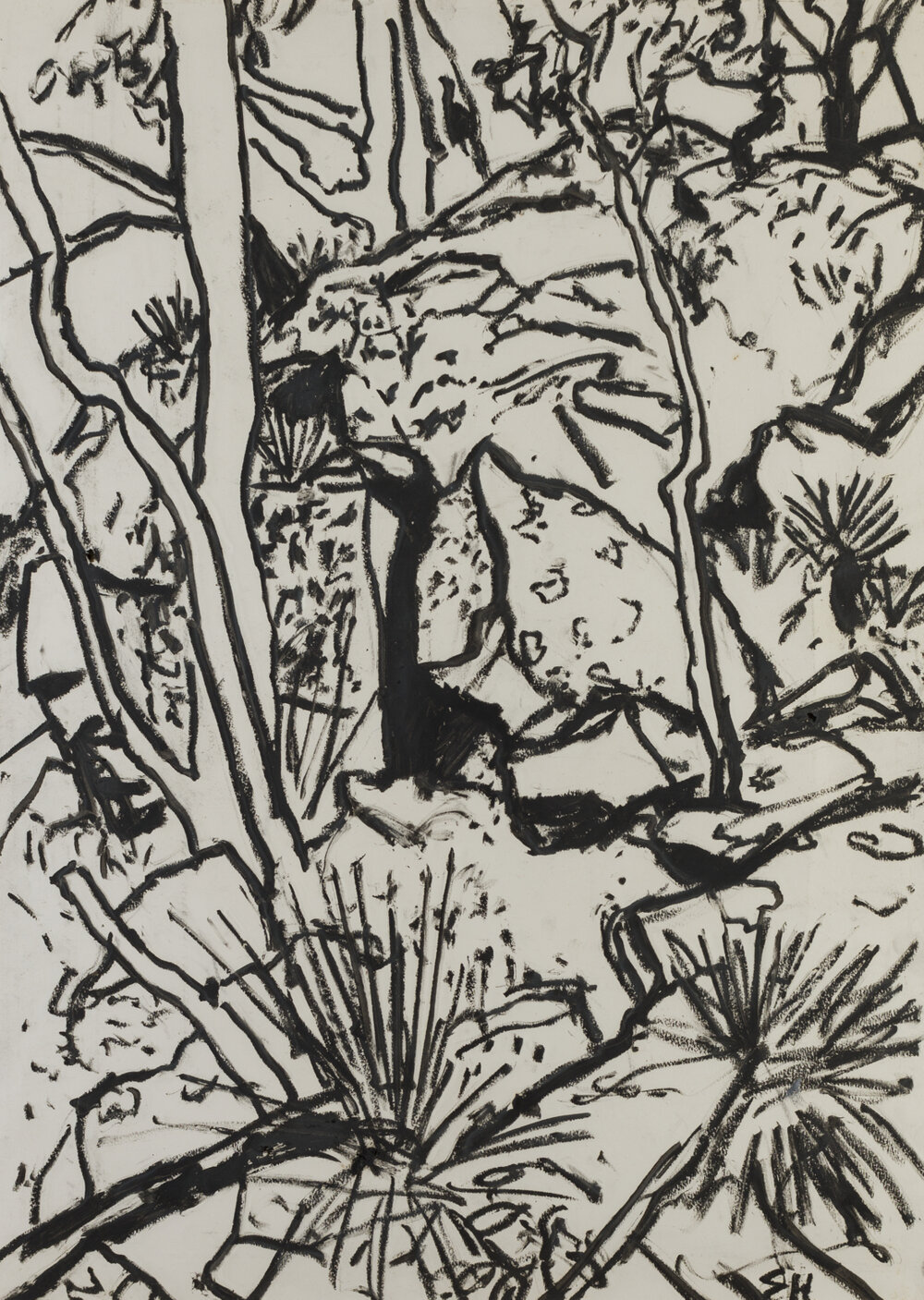 Glenreagh Sandstone Bush 2