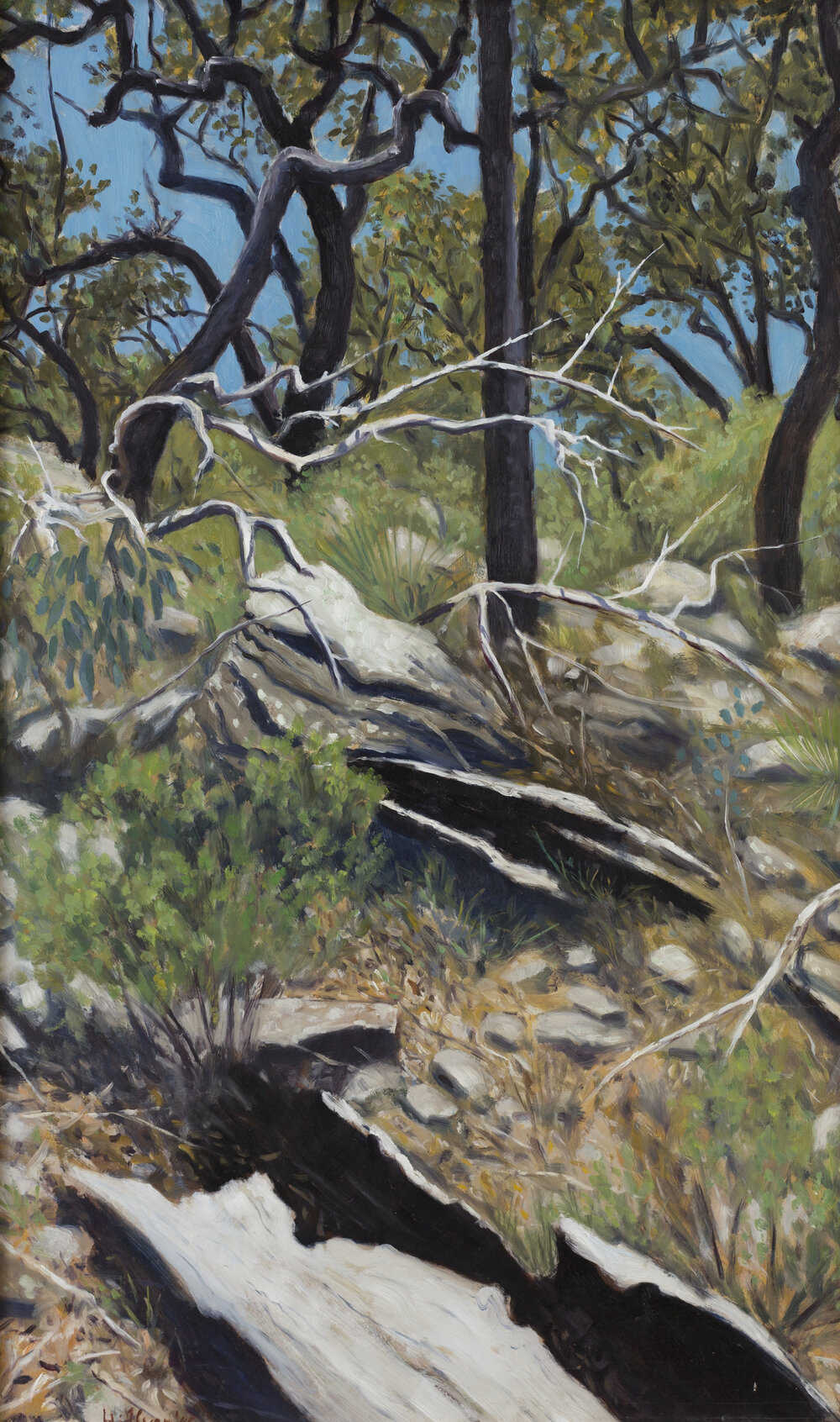 Steep hillside