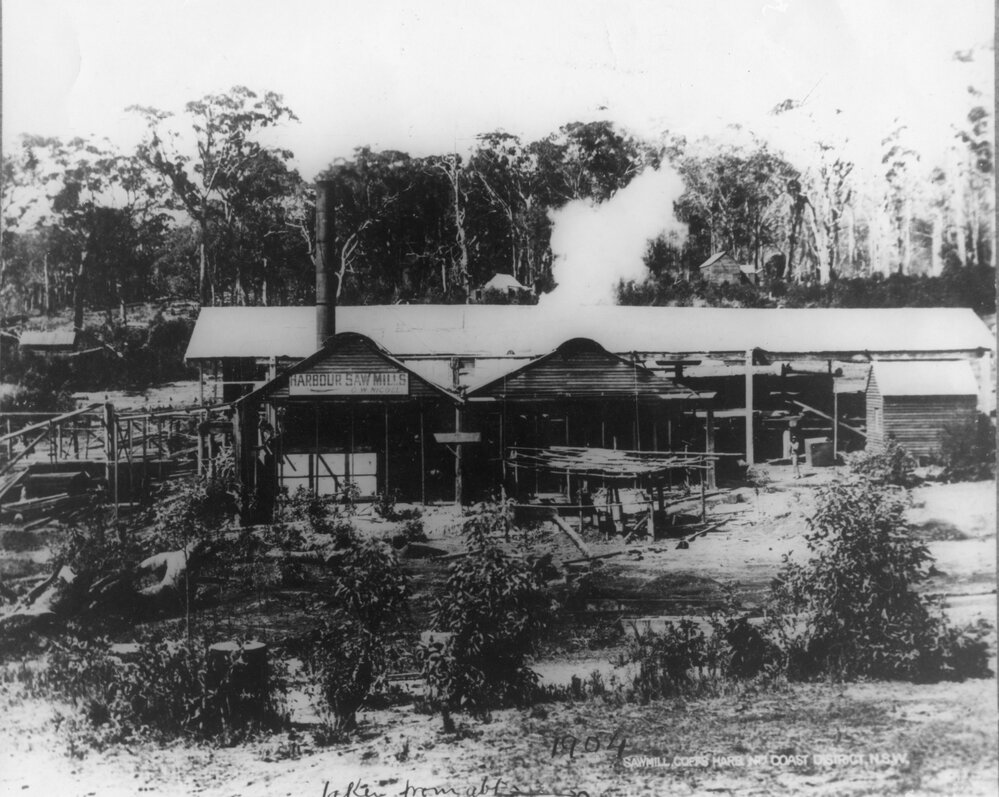 G. W. Nicoll's sawmill, 1904