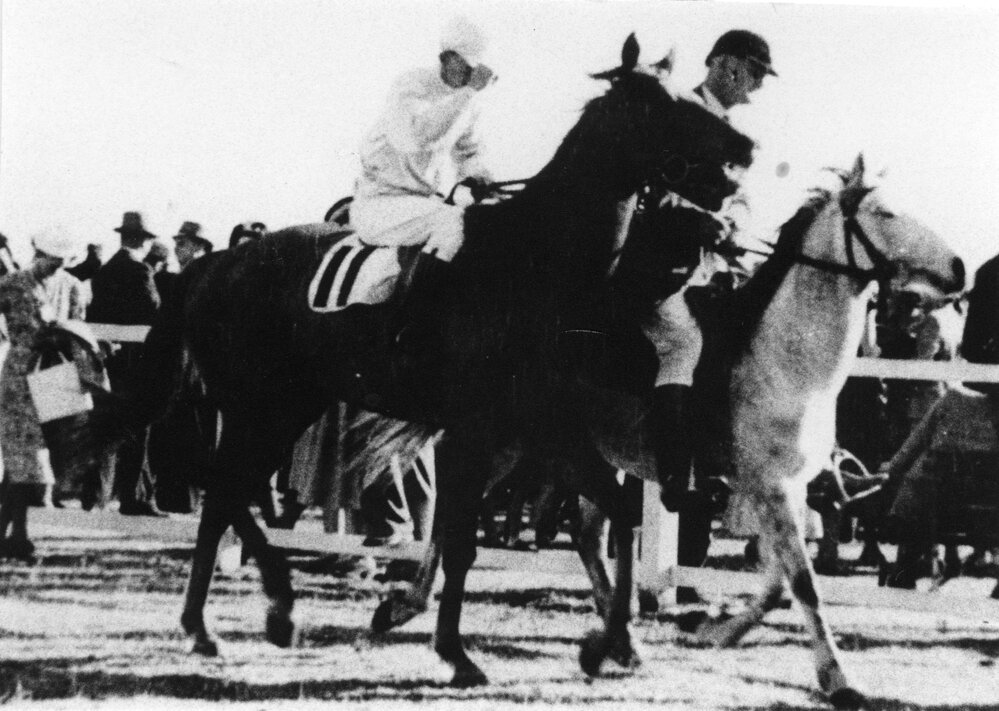 Winner of the Fred Lowery Memorial Trophy at the Coffs Harbour Jockey Club's inaugural meeting, 7 August 1948