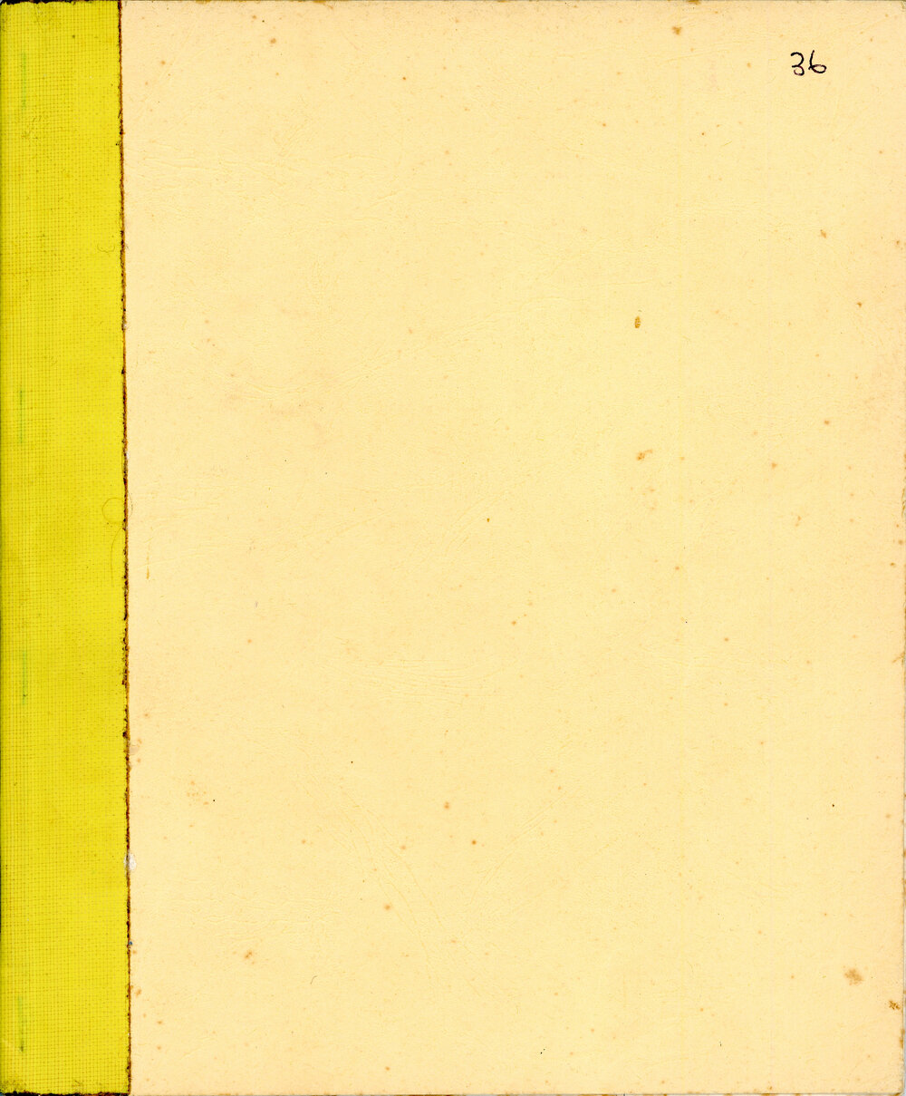 The Life and Times of Raymond Vincent Plunkett