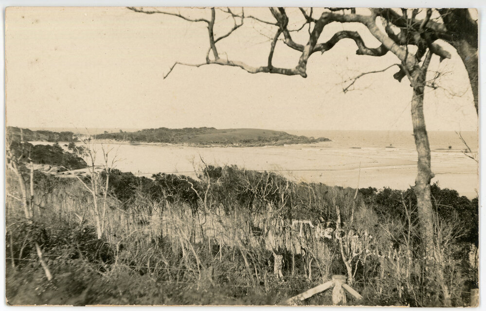 Bonville Creek, 1919