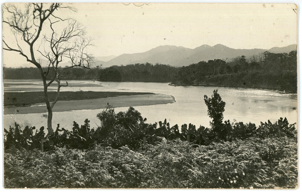 Bonville Creek, c. 1919