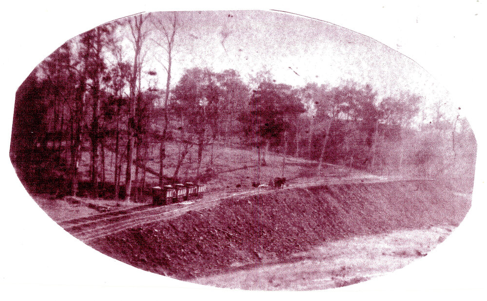 Constructing the railway line to Dorrigo