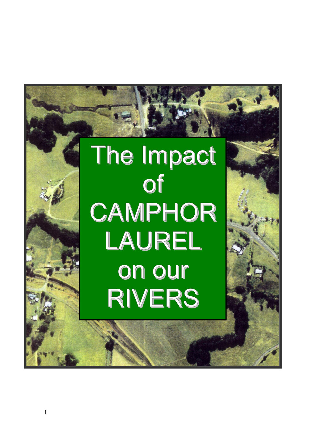 The impact of Camphor Laurel on our Rivers