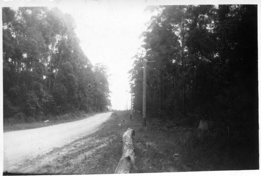 The road to Bucca, c.1955
