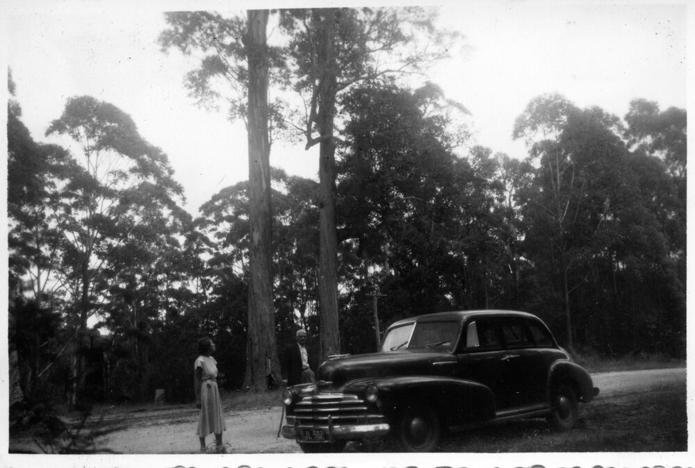 Ivy by the car near Bucca, c.1955