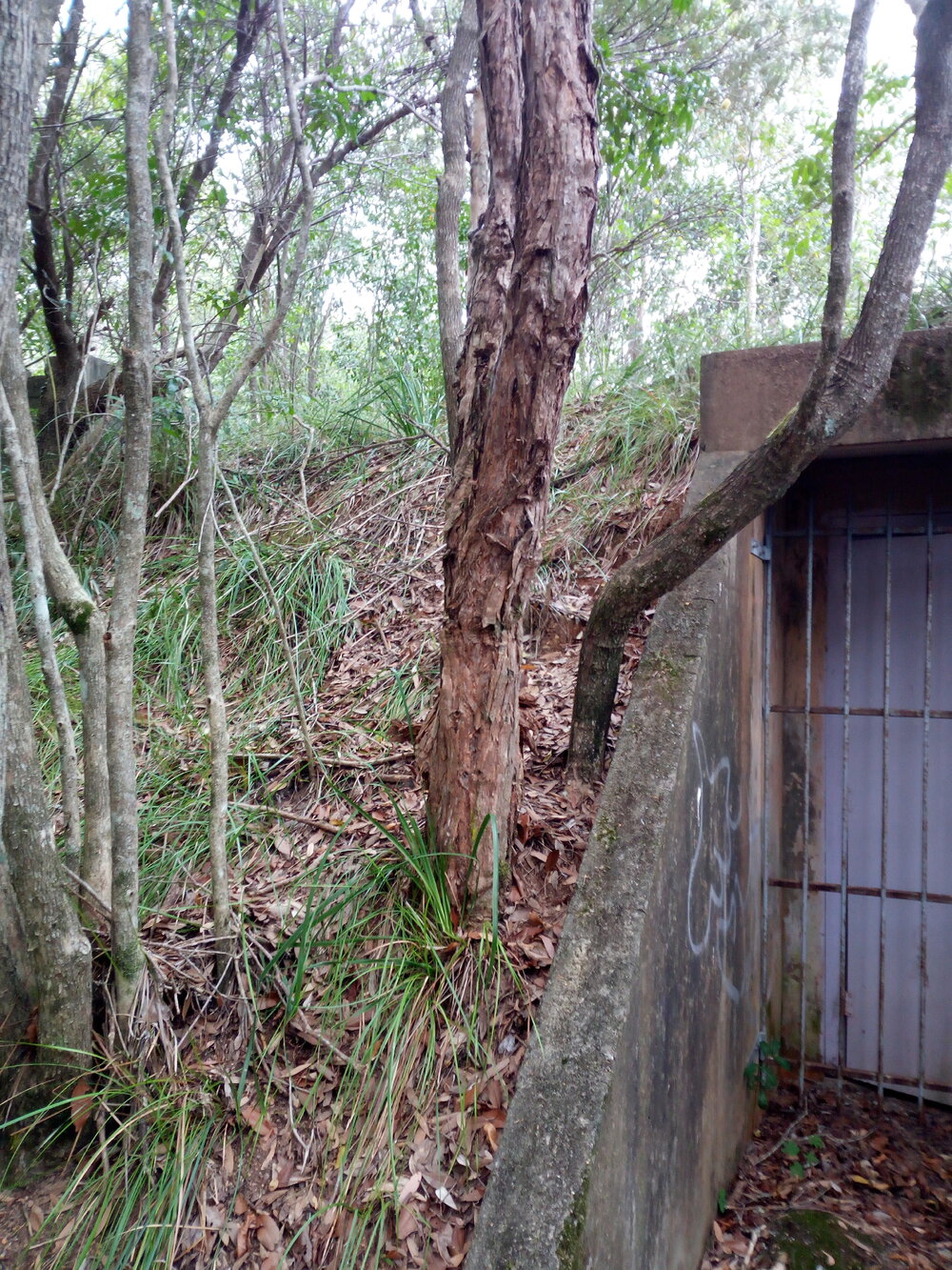 World War II bunker on Dowsett Drive, 25 May 2018