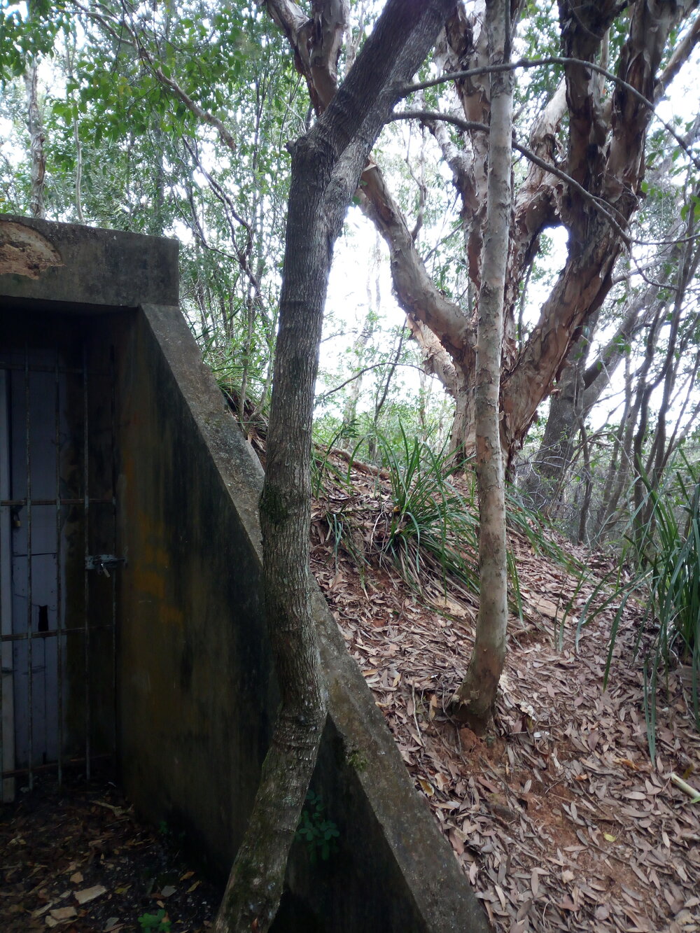World War II bunker on Dowsett Drive, 25 May 2018