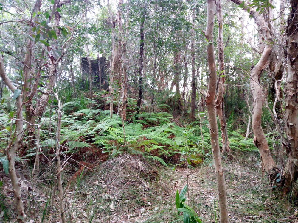 Outlet for the World War II bunker on Dowsett Drive, 25 May 2018