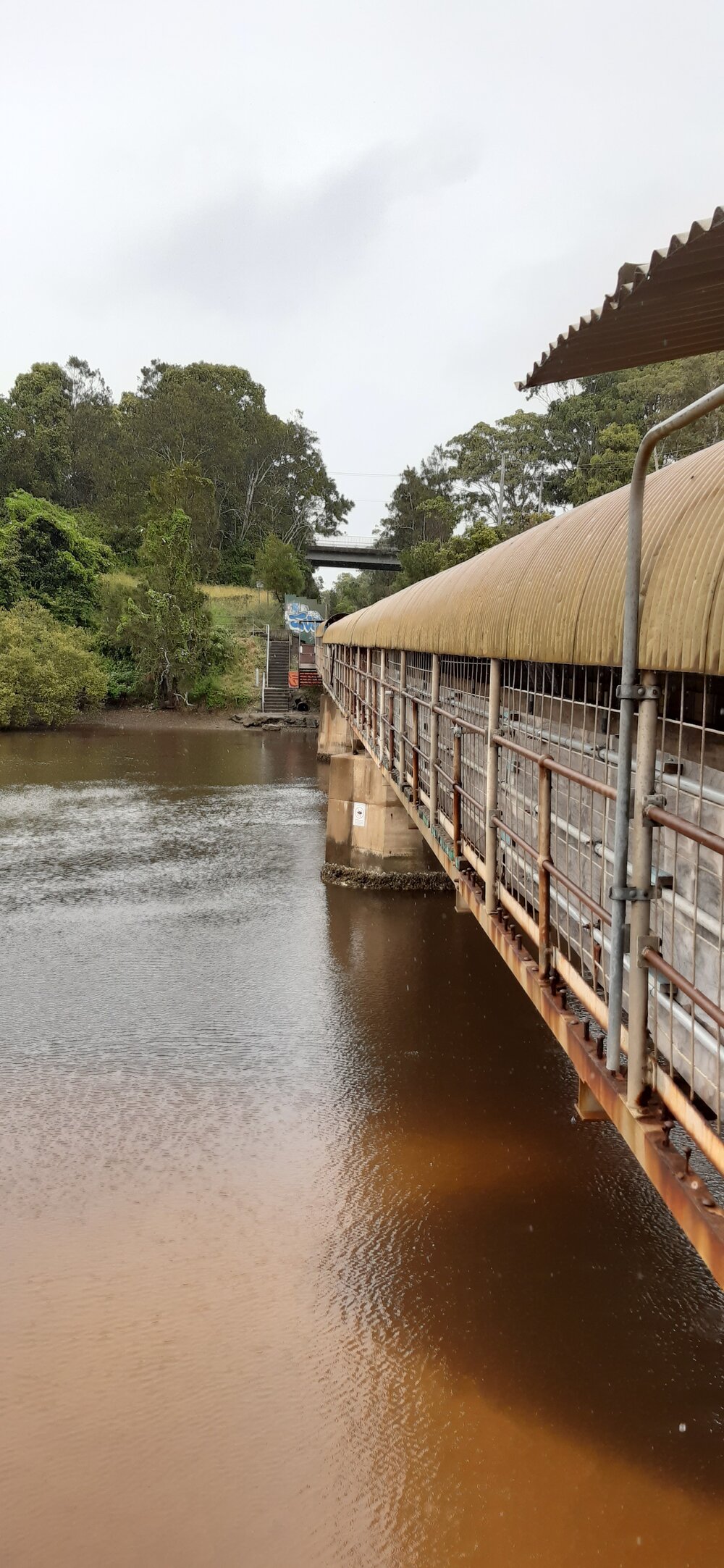 Northern view of the footbridge beside the railway track, 1 July 2021