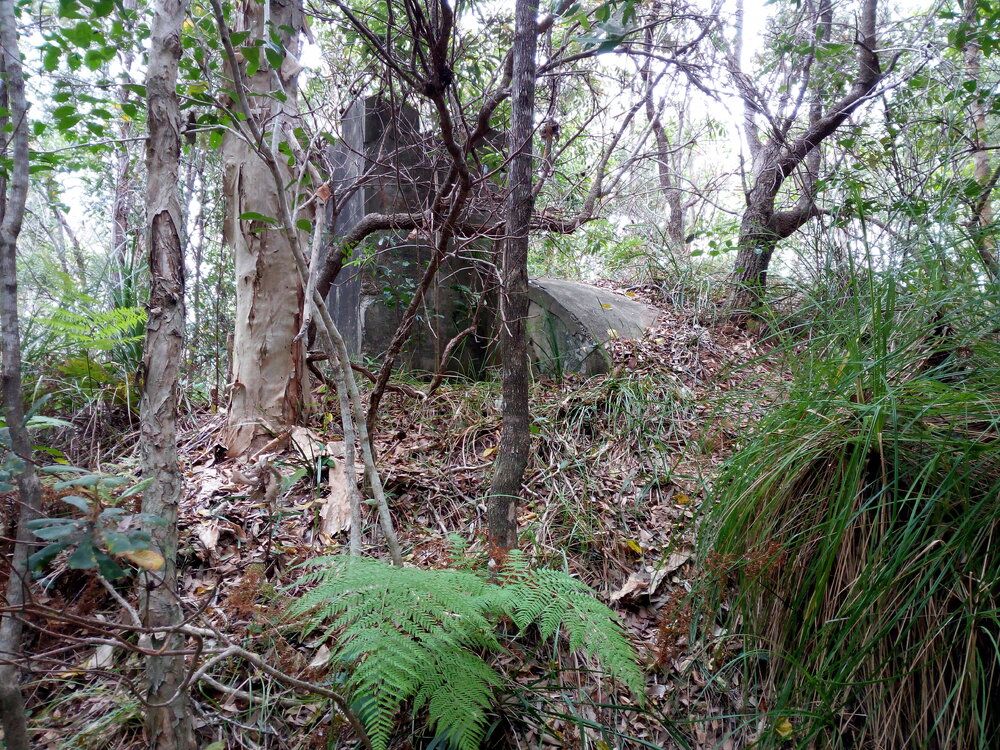Outlet for the World War II bunker on Dowsett Drive, 27 September 2017