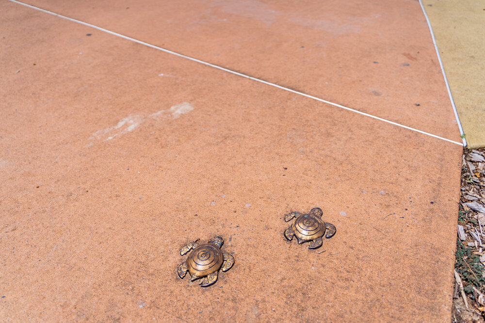 Bronze turtle sculptures, Coffs Harbour Jetty