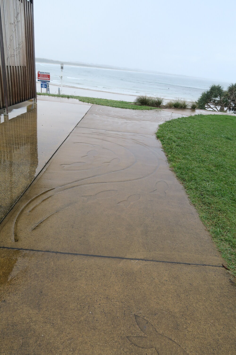 Fish Stencil, Arrawarra Headland