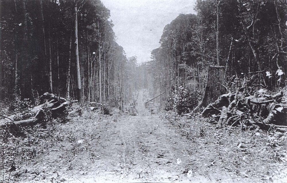Lowanna's main street before its development, 1909