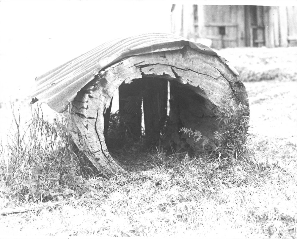 Dog kennel