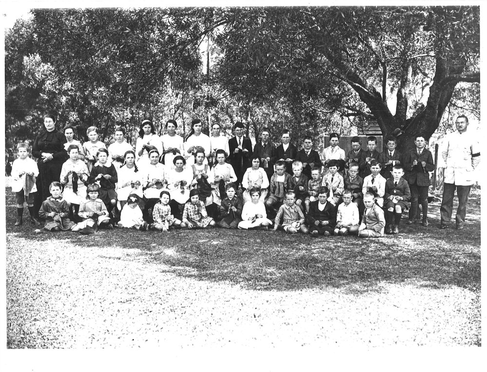Students and staff at Dunvegan School, Upper Orara, 1914-1918