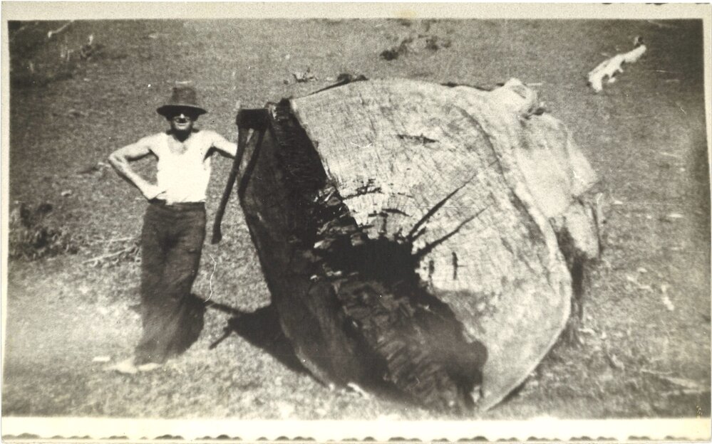 Cecil Houlahan standing next to a felled tree