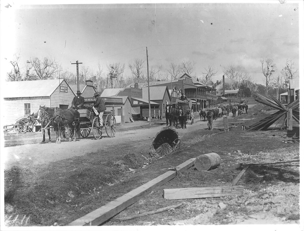 Ocean Street, Coffs Harbour Jetty, 1909