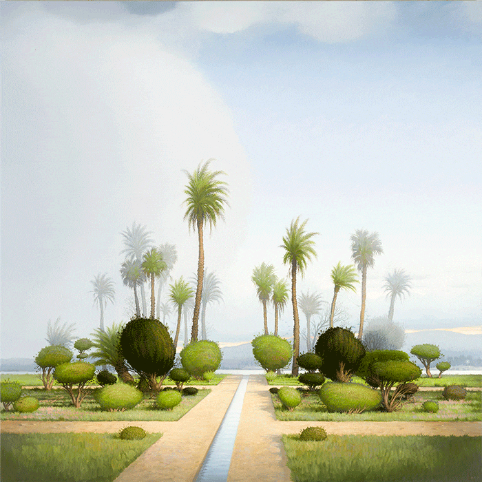 Beginners&rsquo; guide to palms