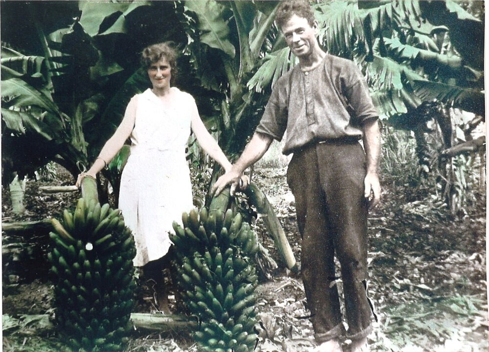 Daisie Williams and Harry Fraser with banana harvest
