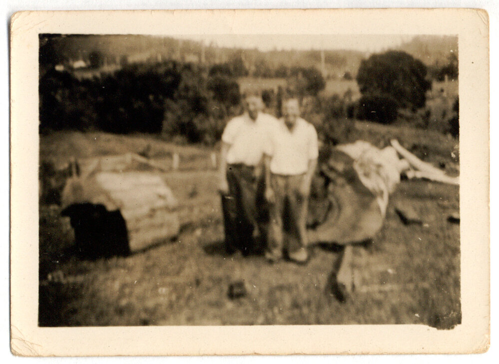 Photograph of men with fallen logs
