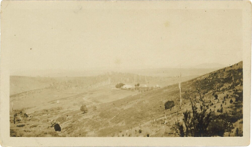 View of cleared land, March 1944