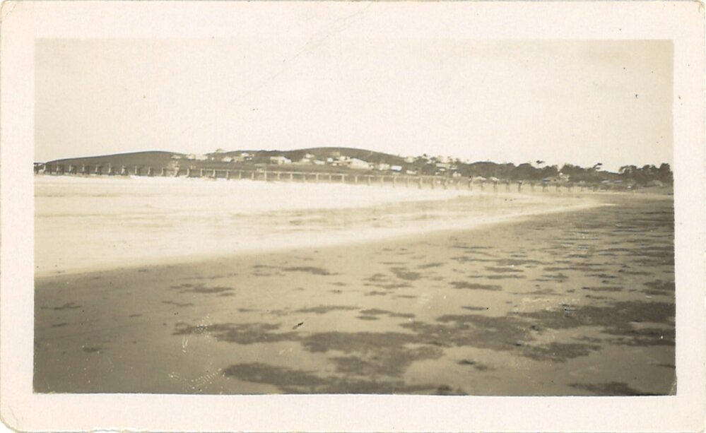 Woolgoolga Jetty and Headland