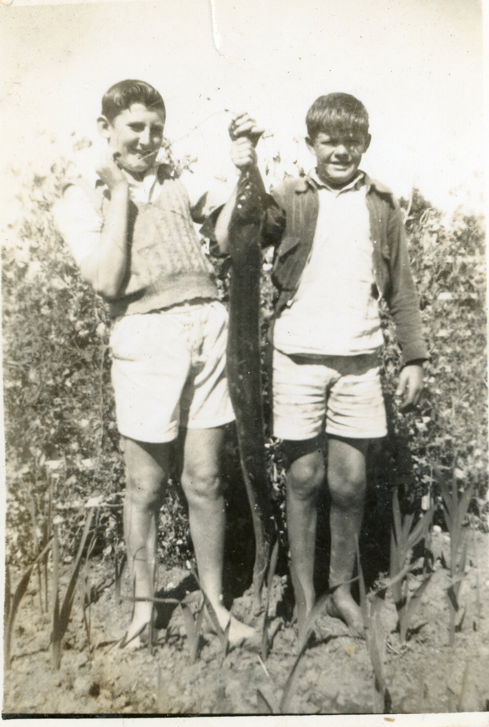 Peter Loader with friend Allan and eel, c.1950s